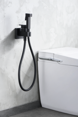 GRIFERÍA EMPOTRADA BIDÉ IRLANDA 