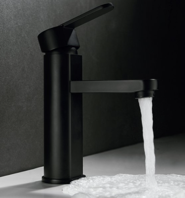 MONOMANDO LAVABO ROMA